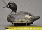 Excellent Blue Bill Hen Duck Decoy Original Paint  Glass Eyes Canada  Ny  