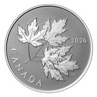 Gleaming Maple Leaves 2026 Canada  9999 Pure Silver Proof  10 Coin