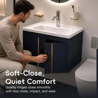 24 Inch Floating Bathroom Vanity With Ceramic Sink Wall Mount Cabinet Navy Gold