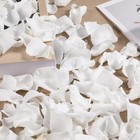 1 4oz Dried Real Rose Petals  White For Wedding  Bridal Shower   Engagement
