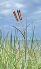 Copper   Bronze Cattail Wind Chimes Art Inspired By Nature Sound Adjuster