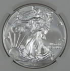 2017 W Burnished American Eagle  1 Ngc Ms69 1 Oz  999 Silver