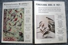 Pennsylvania Game News - March   April 1949