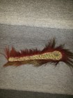 Native American Indian Roach