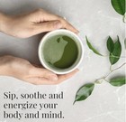 2x Organic Matcha Stone Ground Green Tea Powder Republic Of Tea - 1 5oz 30 Cups