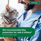 Bayer Advantage Ii For Large Cats  9 Lbs And Over  - 6 Dose
