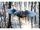 Mojo Elite Series Woody Motion Duck Decoy