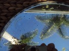 Antique Mirror Round Footed Vanity Dresser Tray 10 Inch Diameter