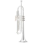 Yamaha Xeno Series Ytr-8335iirskg Namm 2026 Limited Edition Kangakki Bb Trumpet 