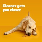 Large Dog Dental Treats Beef Original Fresh Pack Tartar Reduction 2 73 Lb Chewy