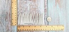 2 Inch Smooth Dentalium Shells  20 Pieces