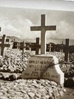Ww2 British   New Zealand Graves Photograph 1941 North Africa  z555