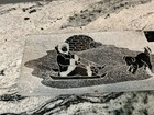 Native Inuit Carved Soapstone Art Signed Eskimo Dog Sled Igloo Plaque