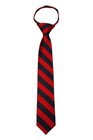 Boy s 14 Inch College Striped Zipper Necktie Zipper Tie Pre-made Ties - Nwt