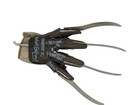 Nightmare On Elm Street Freddy Krueger Signed Deluxe Metal Glove Robert Englund