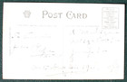 Halloween Vintage Marks Postcard  Row Of Pumpkins  Pumpkin-headed  Snake  1911