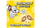 Temptations Classic Crunchy And Soft Cat Treats Creamy Dairy Flavor 16 Oz  2pack