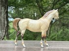 Breyer Silky Sullivan - Classic Racing Thoroughbreds - Bf Tent Special Dun