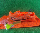 Nike Ja Fly 4    electric Pack    Track Sprinting Spikes Cleats Fv2324-900 Sz 4