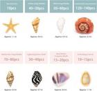 300  Tiny Seashells Starfish Mix Crafts Resin Mosaic Coastal Home Decor 8 Types