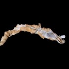 Vintage Red Fox Pelt Hide 48    Full Fur W Head Tail Legs Taxidermy Craft