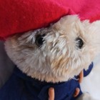 Paddington Bear Vintage 1981 Eden Toys Collectable Rare Plush Bear 18 