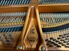 Steinway boston Gp 156 Grand Piano - 2023 - See Video