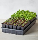 Burpee Self-watering Seed Starter Tray  72 Cells  72 Cell Self Watering Kit
