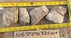 Stromatolite Fossil Wyoming 5 Pound Lot