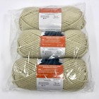 Lot Of 3 Bernat Softee Chunky Yarn-soft Linen 3 5 Oz 108 Yds  6 Acrylic Beige