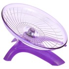 Silent Running Wheel Hamster Toy Exercise Wheels Chinchilla Toys For