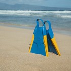 Dorsal Bodyboard Bodysurfing Floating Swim Fins  flippers 
