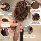 Soft Boar Bristle Hair Brush For Women  Boars Hair Brush For Women   Boar Brush 