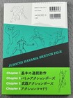 How To Draw Moving Battle Character Animator Junichi Hayama Japanese  us Seller 