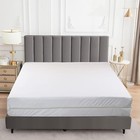 Zippered Mattress Encasement Waterproof Mattress Protector Bed Bug Cover Pad
