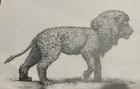 Stephen King s The Shining Topiary Lion Original Concept Art - Steve Johnson Xfx