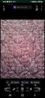 Tender Mercies Quilted Cot Covers Funeral Home Mortuary Transport Burgundy