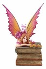 Amy Brown Autumn Pink Book Club Fan Fairy With Wyrmling Dragon Figurine 7 h