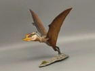 Dsungaripterus Resin Dinosaur 1 6  Model Figure Prehistoric One Of  A Kind