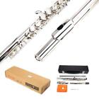 New Nickel-plated Body   Keys School Student Band 16 Hole C Flute Silver W  Case