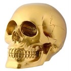 Gold Human Skull Figurine Skeleton Gothic Halloween Skeleton Decoration New