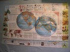 Voices Of The World  cultures Linguistics Languages Map National Geographic 1999