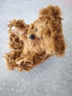 Little Gem Teddy Bears Le 76 3000 String Bear Cocoa 3 5   Minature In Case 