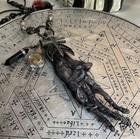 Monkey Paw  Voodoo Magic Talisman  Hoodoo Oddity   Protection Luck Pendant  Evil