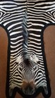 Zebra Hide   Skin - A Large A Grade South African Burchell Zebra Hide Felted