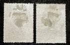 Dominican Republic 1971  Sc  687  C189  Mint Hog
