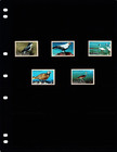  2 75 Scott Value - 2000 Djibouti Birds East Africa Scarcer Cv Mnh Nh Umm