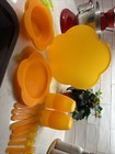 Vintage Inspo Orange Flower Plastic Picnic Set With Cups  Bowls  Plates  Cutlery