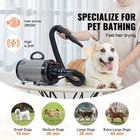 Dog Dryer 2800w Pet Grooming Dryer Adjustable Speed With 4 Nozzles Grey