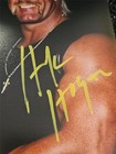 President Donald Trump Hulk Hogan Dual Hand Signed Autographed 8x10 Photo W  Coa
